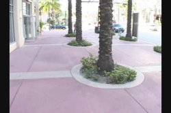Captura de 'Sucking Me POV: South Beach' nº 28