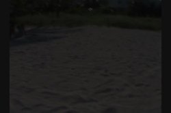 Captura de 'Sucking Me POV: South Beach' nº 117