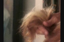 'Redhead Teens' screenshot nº 123