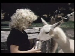 'Little American Maid' screenshot nº 108