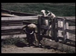 'Little American Maid' screenshot nº 112