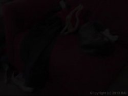 'Blaine Bryant's BBBW 14' screenshot nº 88