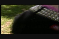 Captura de 'Kick Ass Chicks 5: Felix Vicious' nº 113