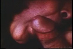 Captura de 'XXX Bra Busters In The 1970's' nº 30