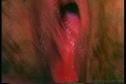 Captura de 'XXX Bra Busters In The 1970's' nº 87