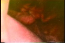 Captura de 'XXX Bra Busters In The 1970's' nº 107