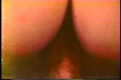 Captura de 'XXX Bra Busters In The 1970's' nº 109