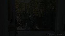 Captura de 'Hot Lesbian Love 3' nº 1
