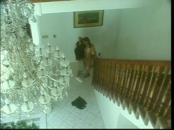 'Latin Fever 15' screenshot nº 62
