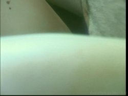 'Latin Fever 15' screenshot nº 68