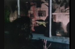 Captura de 'French Finishing School' nº 33