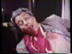Captura de 'Peepshow Loops 85: '70s & '80s (All Color)' nº 25