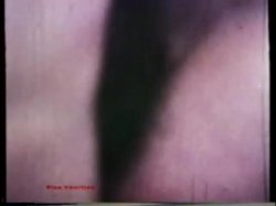 Captura de 'Peepshow Loops 85: '70s & '80s (All Color)' nº 48