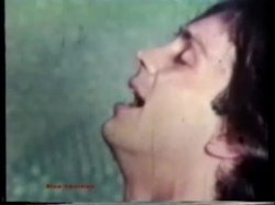 Captura de 'Peepshow Loops 85: '70s & '80s (All Color)' nº 52