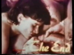 Captura de 'Peepshow Loops 85: '70s & '80s (All Color)' nº 74