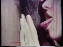 Captura de 'Peepshow Loops 85: '70s & '80s (All Color)' nº 77