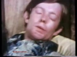Captura de 'Peepshow Loops 85: '70s & '80s (All Color)' nº 88