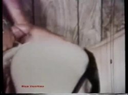Captura de 'Peepshow Loops 85: '70s & '80s (All Color)' nº 93