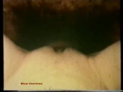 Captura de 'Peepshow Loops 85: '70s & '80s (All Color)' nº 122