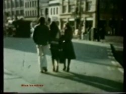 Captura de 'Peepshow Loops 85: '70s & '80s (All Color)' nº 128
