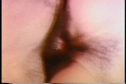 'Leslie Winston Collection' screenshot nº 36