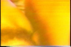 'Leslie Winston Collection' screenshot nº 121
