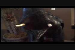 Captura de 'Spunkmouth Jones' nº 97