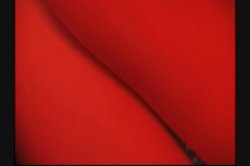 'Assploitations 5' screenshot nº 2