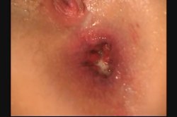'Assploitations 5' screenshot nº 35