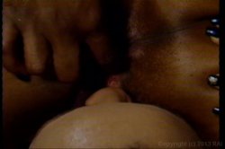 'Coochies Under Fire 4' screenshot nº 132