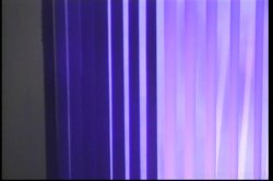 Captura de 'Tera Patrick AKA Living Legend' nº 88