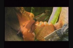 'Tropical Asses On Fire' screenshot nº 135