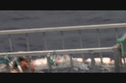 Captura de 'Surfer Girls 2' nº 106