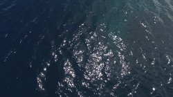 Captura de 'Tropical Anal Adventures from Guadeloupe with Kyra' nº 105