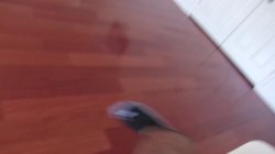 Captura de 'Cheating Girlfriends Like It Big! 7' nº 52