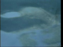 'Anal Pool Party 2' screenshot nº 48