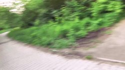 'Bodo Burner Vol. 3' screenshot nº 14