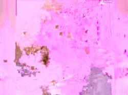 'Baby Got Boobs Vol. 3' screenshot nº 127
