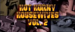 'Hot Horny Housewives 7' screenshot nº 131