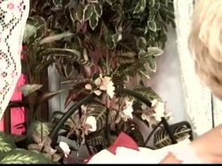 'Boobs Butts and Bloopers Vol. 1' screenshot nº 57