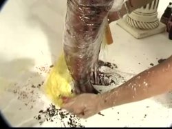 'Boobs Butts and Bloopers Vol. 1' screenshot nº 92