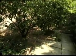 'Boobs Butts and Bloopers Vol. 1' screenshot nº 101