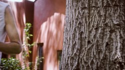 Captura de 'Alpha Male' nº 88