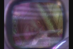 'New Wave Hookers 7' screenshot nº 70