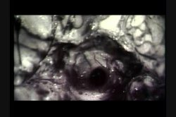 'New Wave Hookers 7' screenshot nº 88