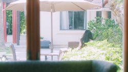 'Surprise Me' screenshot nº 24