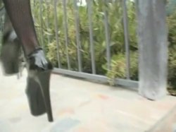 Captura de 'Barely Legal Asian Action' nº 5