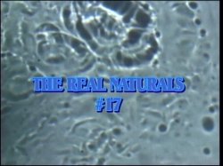 Captura de 'Real Naturals 17' nº 1