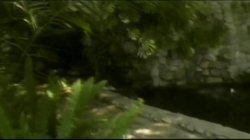 Captura de 'Jon Yuma Double Feature' nº 61