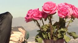 Captura de 'Mom's Anal Gape Factory' nº 58